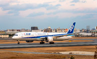 ANA - All Nippon Airways JA830A image