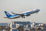 ANA - All Nippon Airways JA90AN image