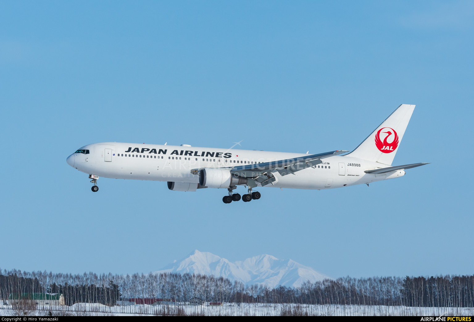 JAL - Japan Airlines JA8988 aircraft at Memanbetsu