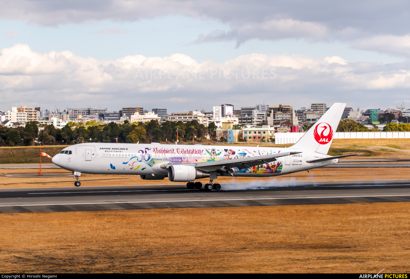 JAL - Japan Airlines JA612J aircraft at Osaka - Itami Intl