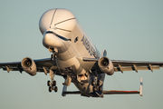 Airbus Transport International F-WBXL image
