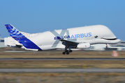 Airbus Transport International F-WBXL image
