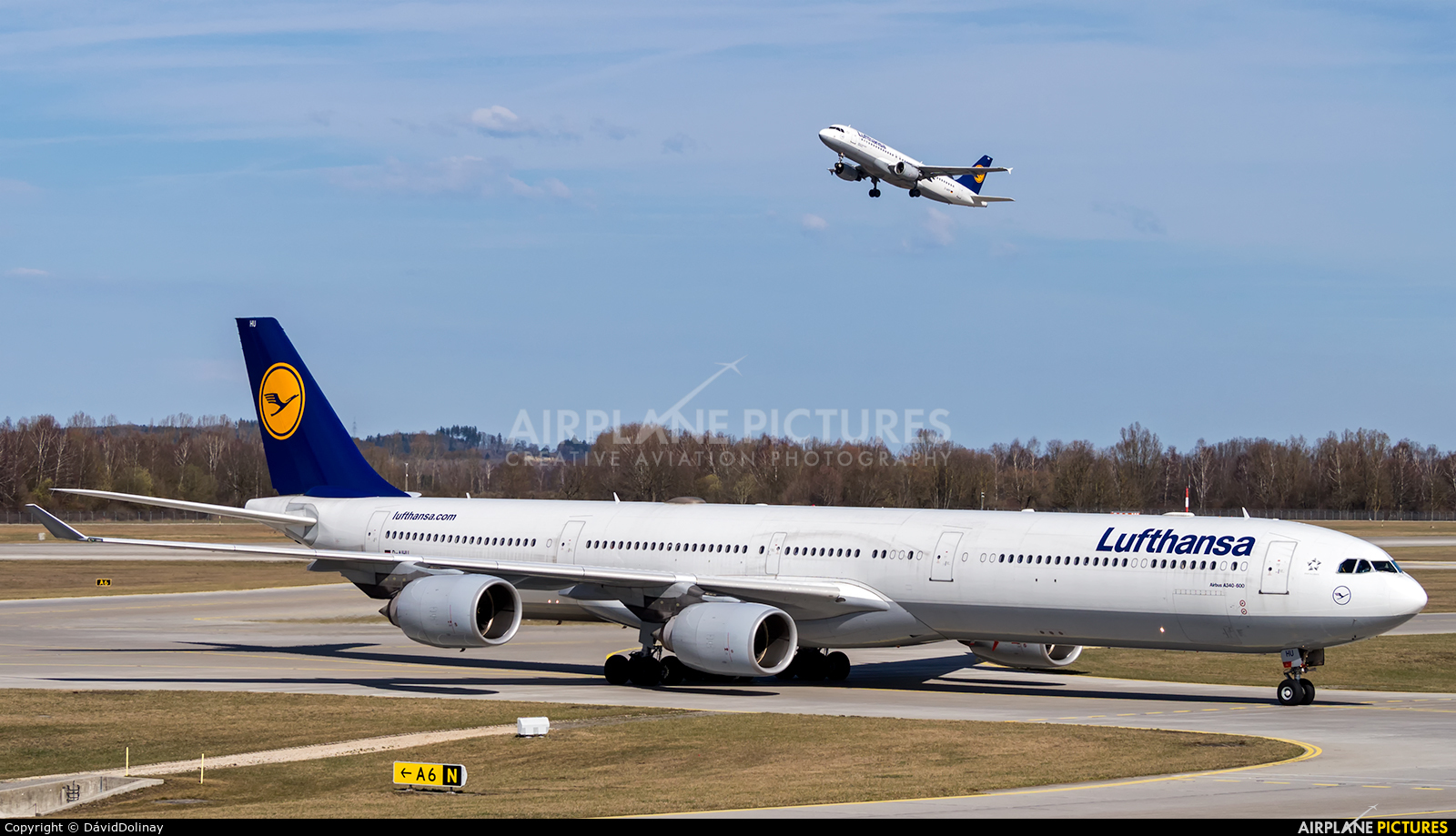 Lufthansa D-AIHU aircraft at Munich