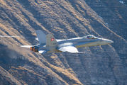 J-5007 - Switzerland - Air Force McDonnell Douglas F/A-18C Hornet aircraft