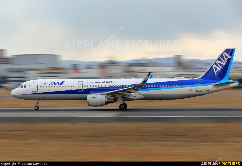 ANA - All Nippon Airways JA113A aircraft at Osaka - Itami Intl
