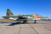 37 - Russia - Air Force Sukhoi Su-25 aircraft
