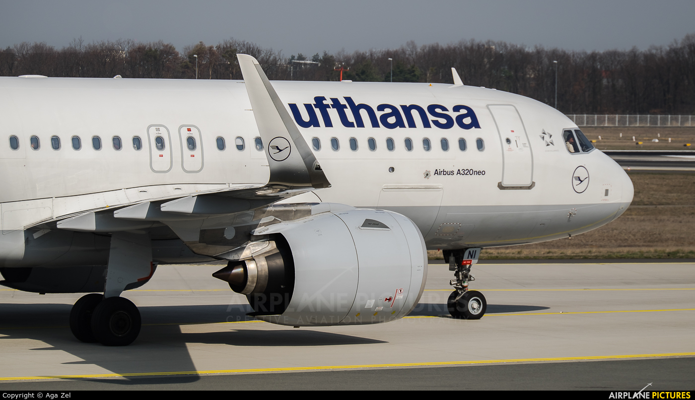 Lufthansa D-AINI aircraft at Frankfurt