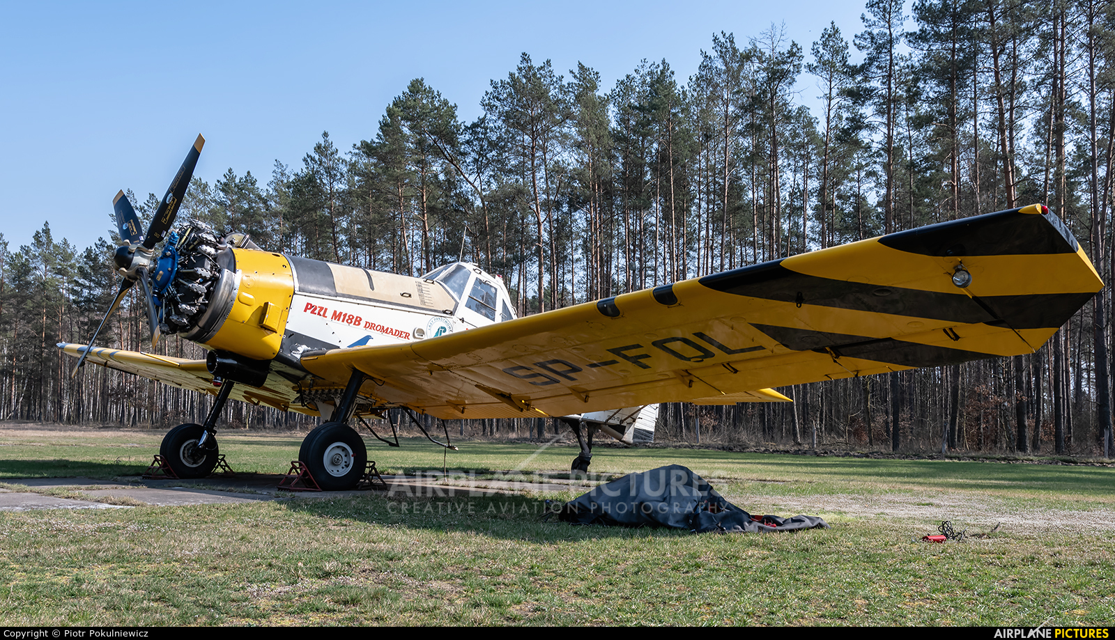 Private SP-FOL aircraft at Piła