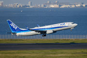 ANA - All Nippon Airways JA89AN image