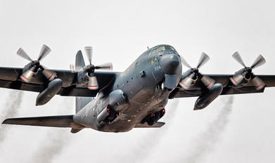 130334 - Canada - Air Force Lockheed CC-130H Hercules