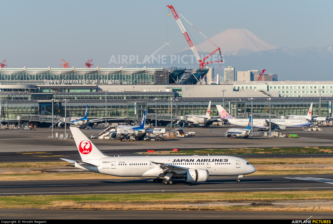 JAL - Japan Airlines JA823J aircraft at Tokyo - Haneda Intl