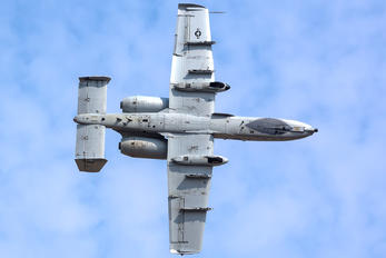 81-0980 - USA - Air Force Fairchild A-10 Thunderbolt II (all models)