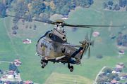 T-342 - Switzerland - Air Force Aerospatiale AS532 Cougar aircraft