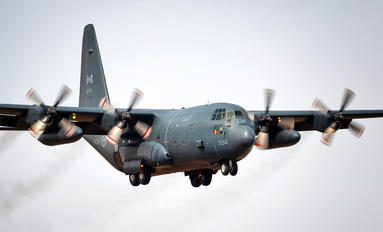 130334 - Canada - Air Force Lockheed CC-130H Hercules