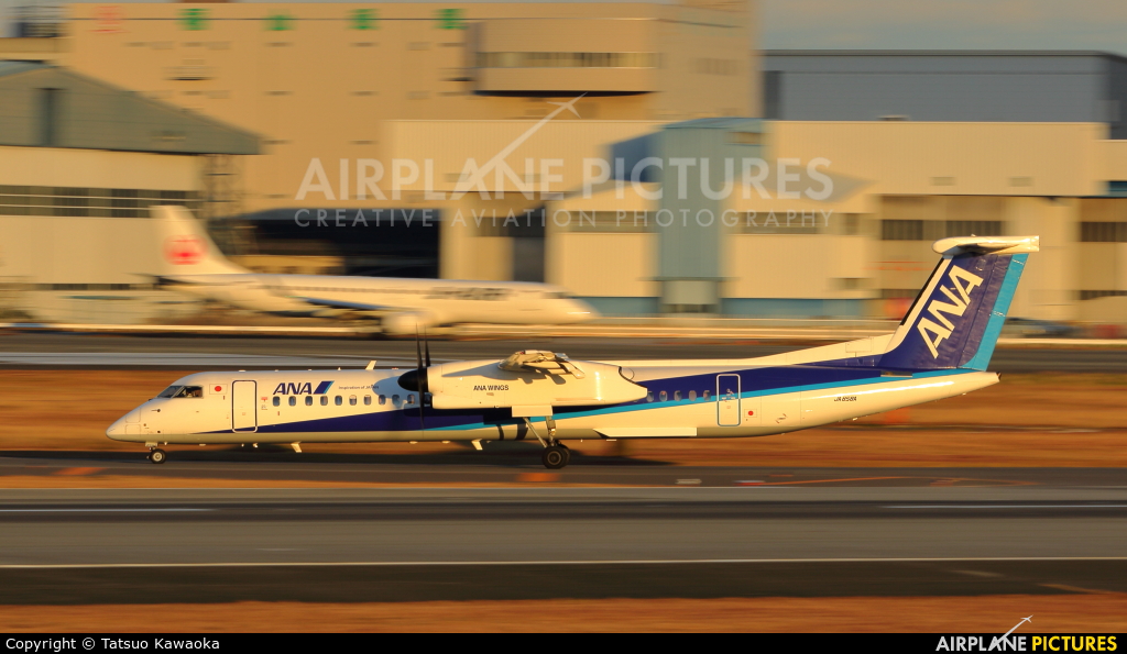 ANA - All Nippon Airways JA858A aircraft at Osaka - Itami Intl
