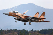 12-8076 - Japan - Air Self Defence Force Mitsubishi F-15DJ aircraft
