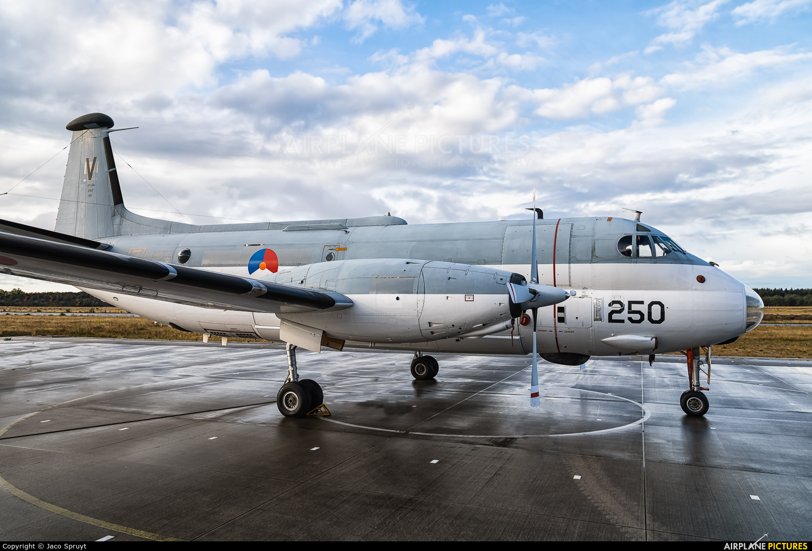 Netherlands - Navy 250 aircraft at Soesterberg - Nationaal Militair Museum