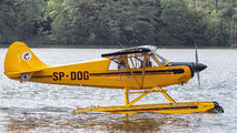 SP-DOG - Private Aviat A-1 Husky aircraft
