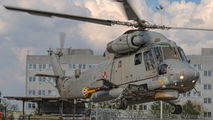 Poland - Navy 163544 image