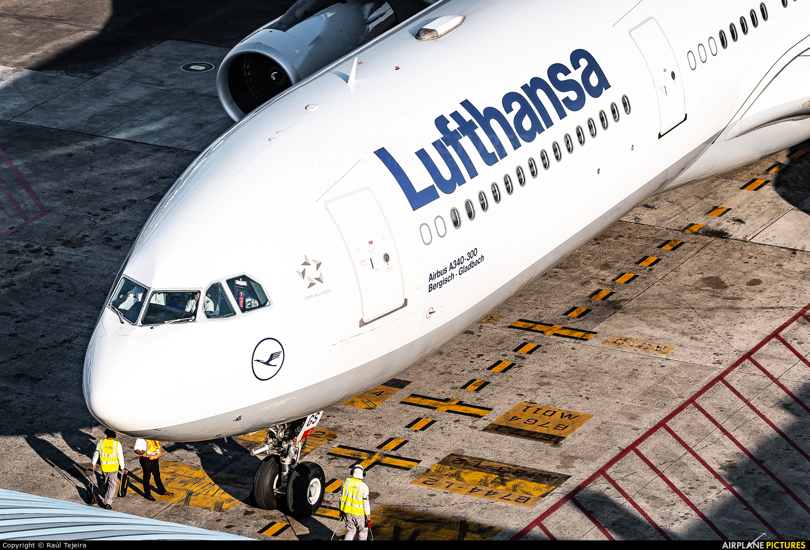 Lufthansa D-AIGS aircraft at Panama City - Tocumen