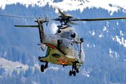 T-336 - Switzerland - Air Force Aerospatiale AS532 Cougar aircraft