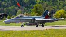 Switzerland - Air Force J-5017 image