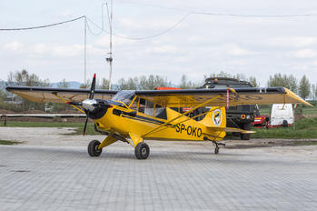 SP-OKO - Aeroklub Nowy Targ Aviat A-1 Husky