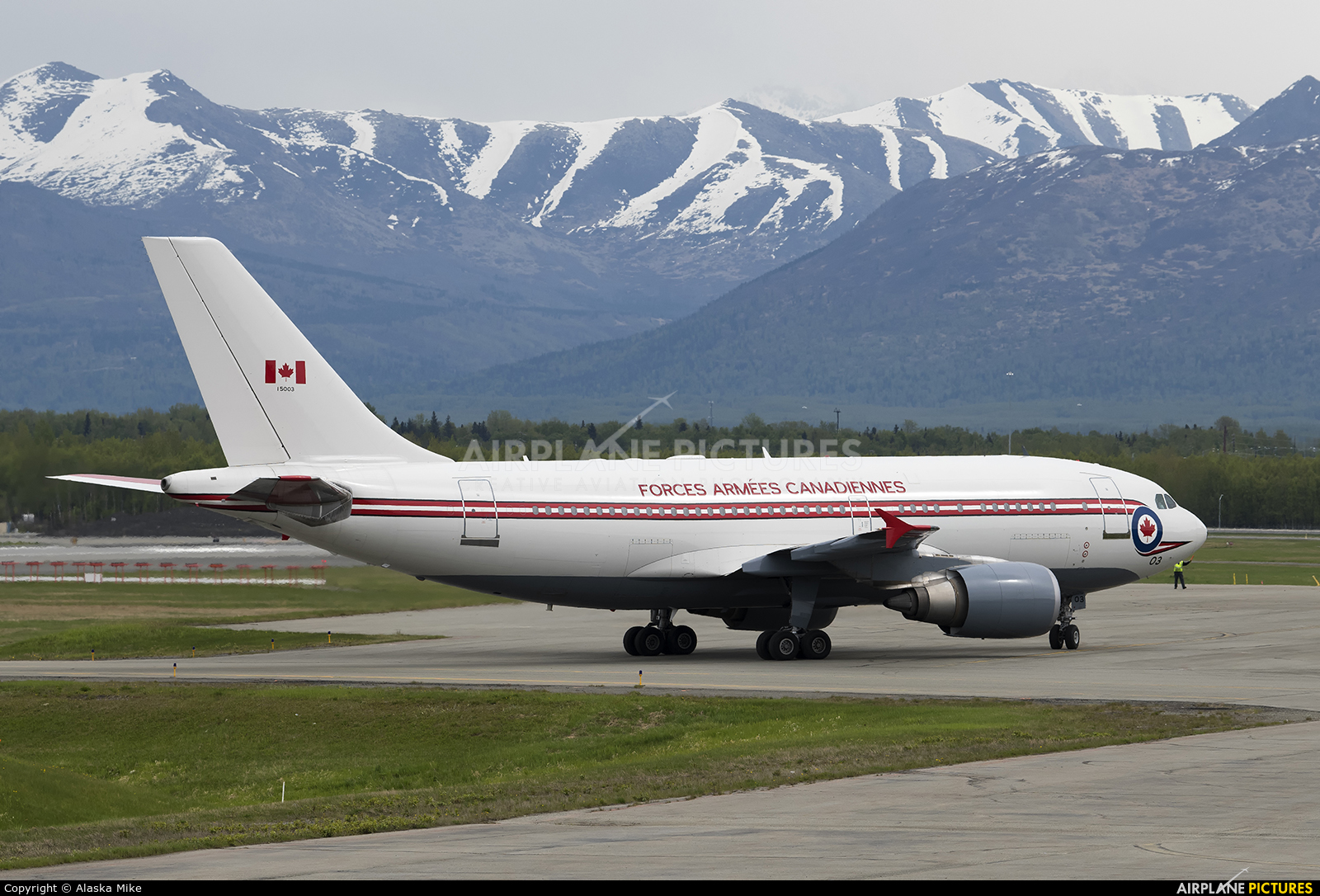 Canada - Air Force 15003 aircraft at Anchorage - Ted Stevens Intl / Kulis Air National Guard Base