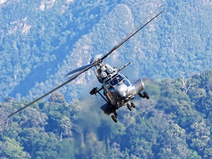 M55-02 - Malaysia - Air Force Eurocopter EC-725/HM-4 Super Cougar