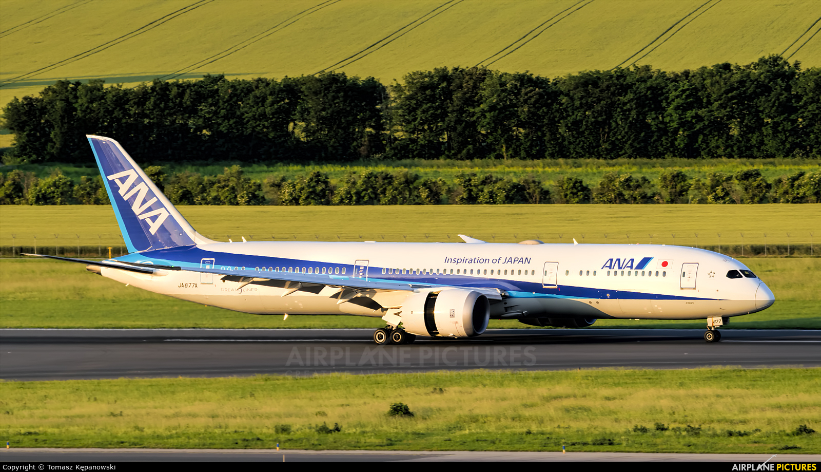 ANA - All Nippon Airways JA887A aircraft at Vienna - Schwechat