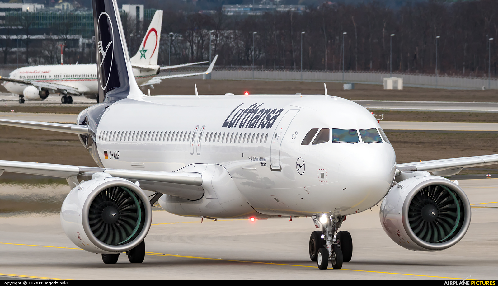 Lufthansa D-AINP aircraft at Frankfurt