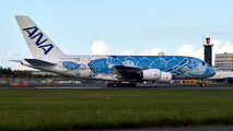 JA381A - ANA - All Nippon Airways Airbus A380 aircraft