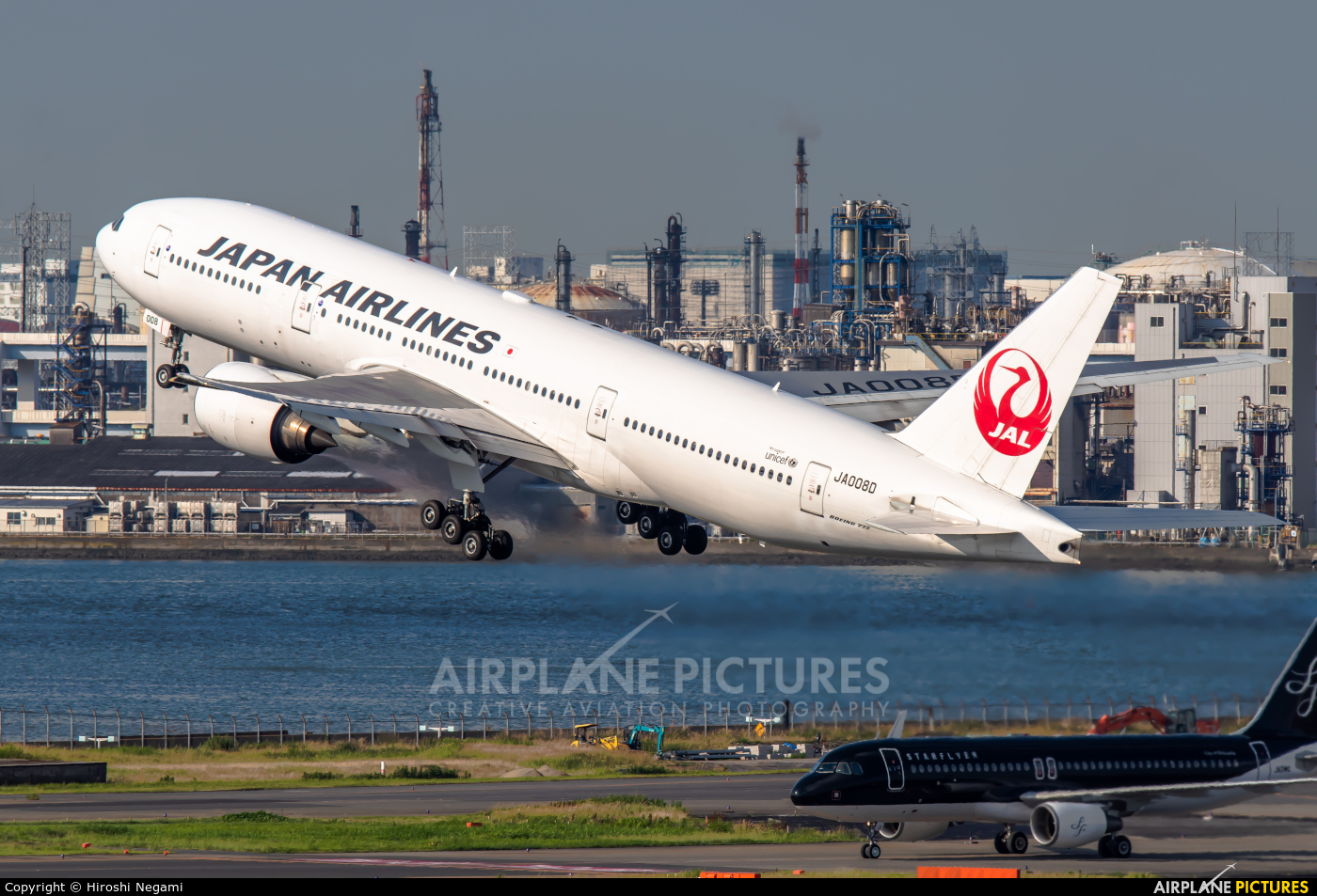 JAL - Japan Airlines JA008D aircraft at Tokyo - Haneda Intl