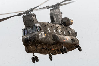 HT.17-17 - Spain - Army Boeing CH-47D Chinook