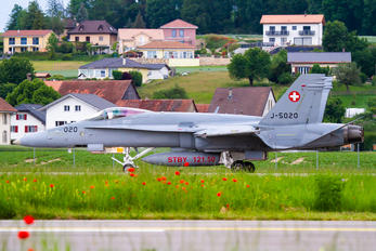 J-5020 - Switzerland - Air Force McDonnell Douglas F/A-18C Hornet