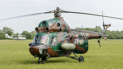 5346 - Poland - Army Mil Mi-2