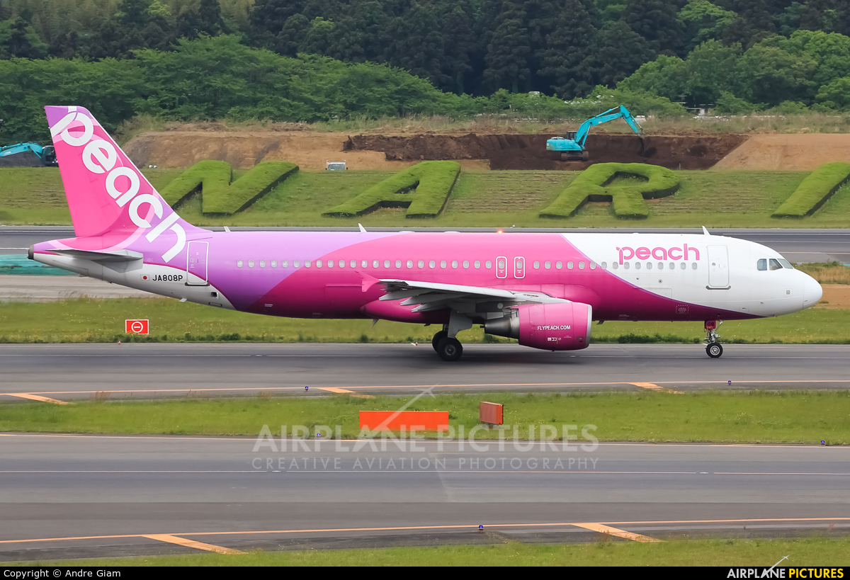 Peach Aviation JA808P aircraft at Tokyo - Narita Intl