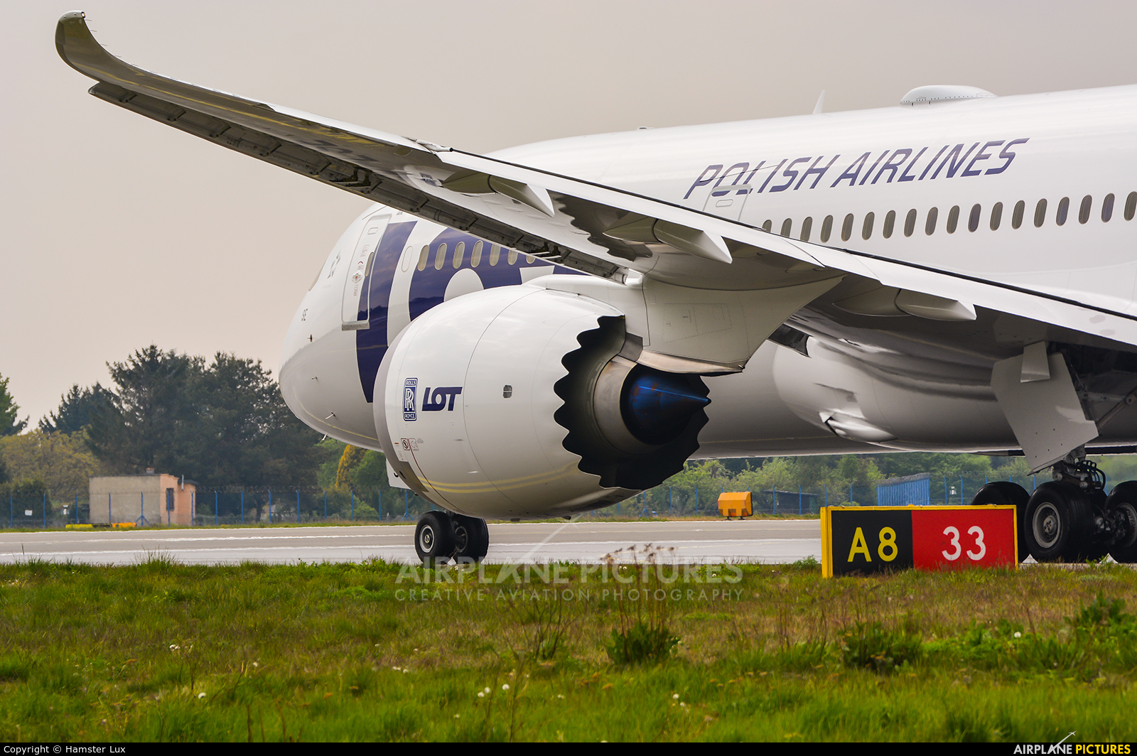 LOT - Polish Airlines SP-LSE aircraft at Warsaw - Frederic Chopin