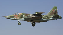 Russia - Air Force RF-93053 image