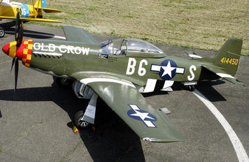 N167F - Scandinavian Historic Flight North American P-51D Mustang