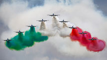 MM54534 - Italy - Air Force "Frecce Tricolori" Aermacchi MB-339-A/PAN aircraft