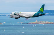 Aer Lingus EI-DVN image