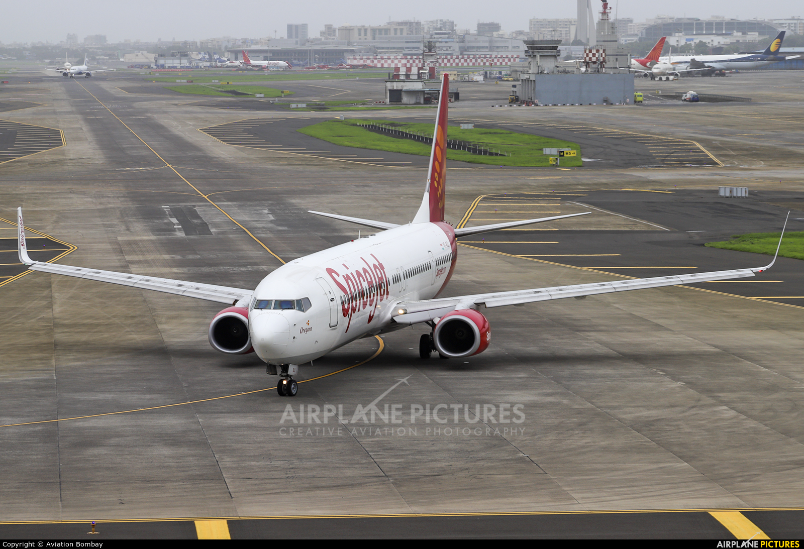 SpiceJet VT-SLC aircraft at Mumbai - Chhatrapati Shivaji Intl