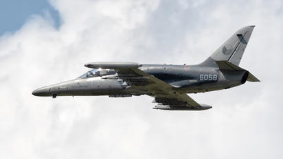 6058 - Czech - Air Force Aero L-159A  Alca