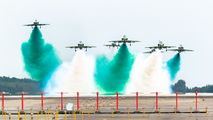 Saudi Arabia - Air Force: Saudi Hawks 8820 image