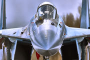 Russia - Air Force 22 image