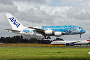 JA381A - ANA - All Nippon Airways Airbus A380 aircraft