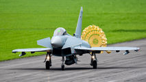 31+44 - Germany - Air Force Eurofighter Typhoon aircraft