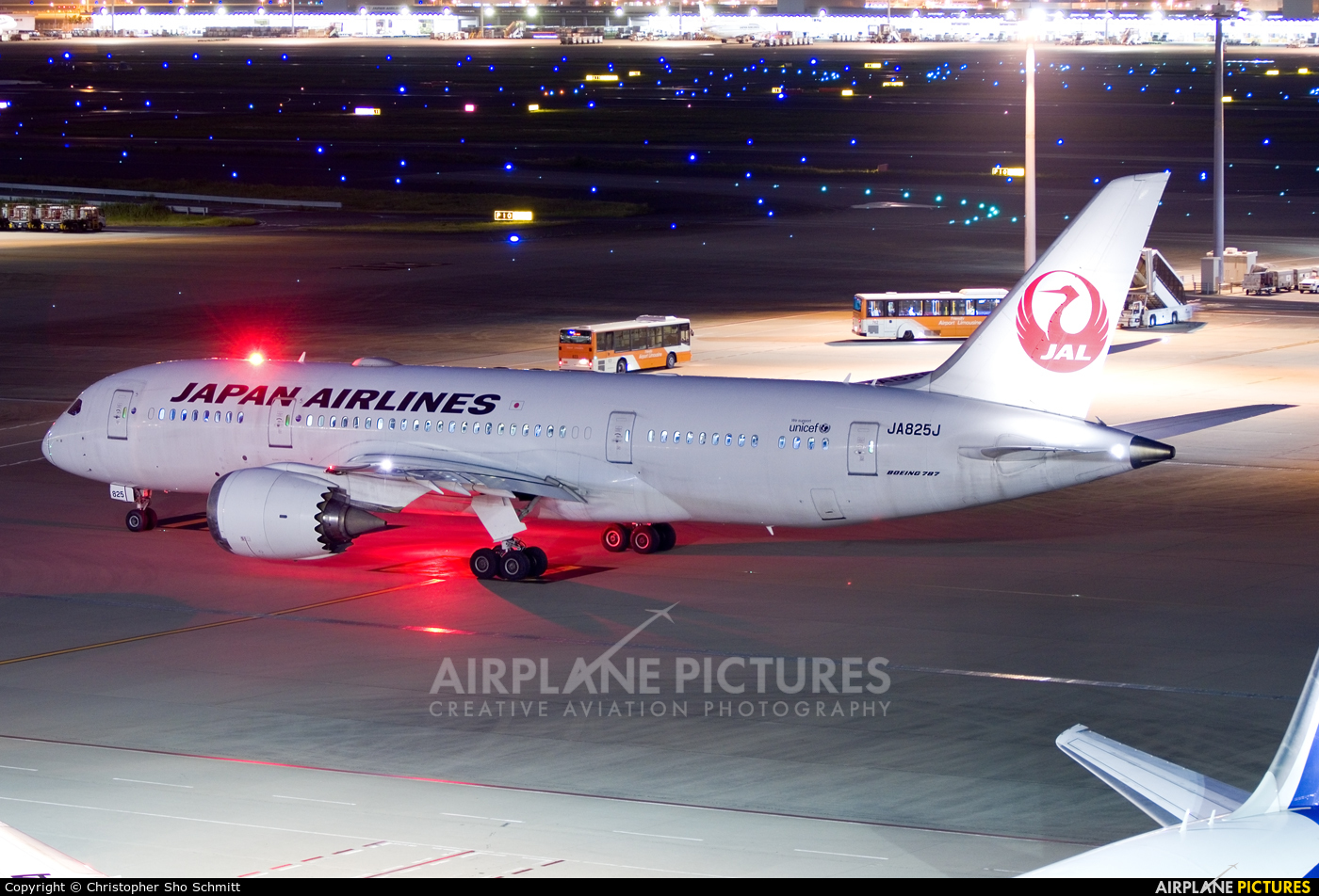 JAL - Japan Airlines JA825J aircraft at Tokyo - Haneda Intl