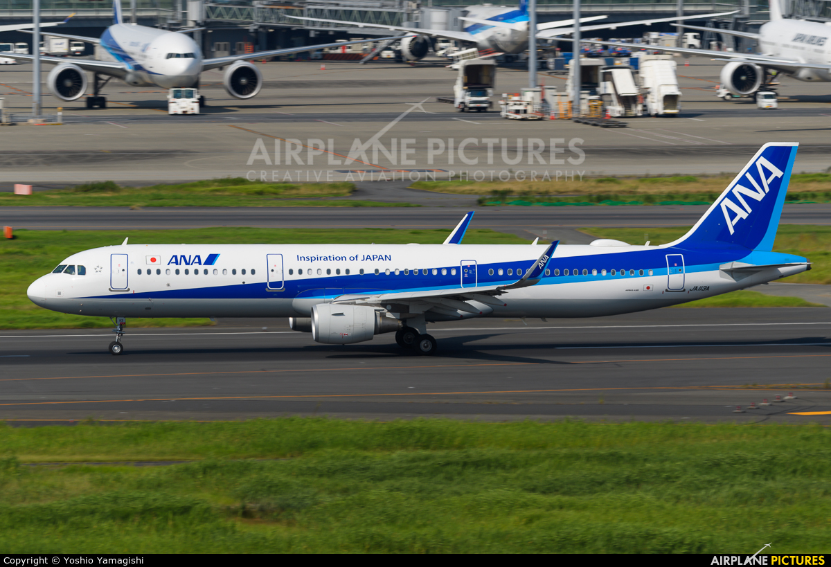 ANA - All Nippon Airways JA113A aircraft at Tokyo - Haneda Intl